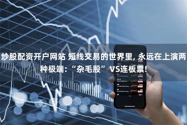炒股配资开户网站 短线交易的世界里, 永远在上演两种极端: “杂毛股” VS连板票!