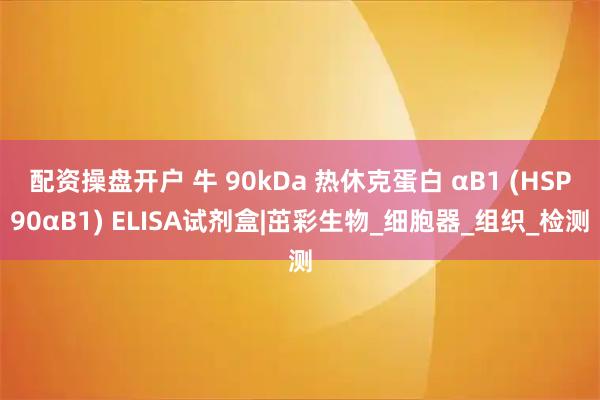 配资操盘开户 牛 90kDa 热休克蛋白 αB1 (HSP90αB1) ELISA试剂盒|茁彩生物_细胞器_组织_检测